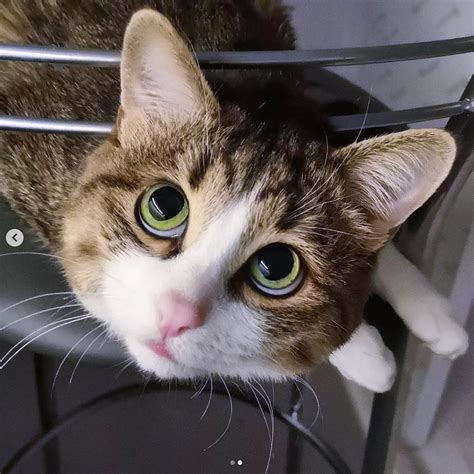 Illustratie van een hand die op een tegel tikt om holtes te detecteren.