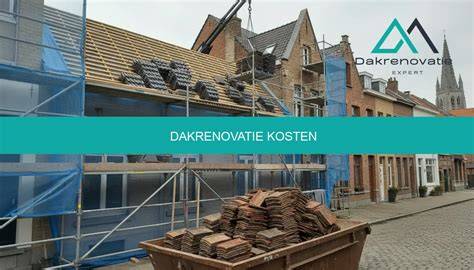 Resultatenoverzicht: dakrenovatie kosten per type dak