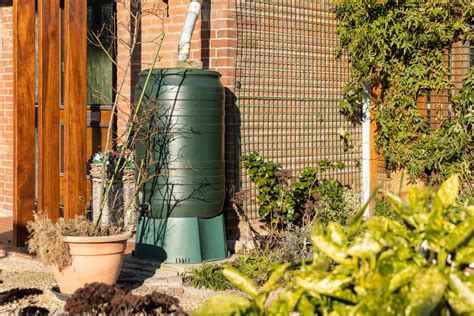 Regenwateropvang uitgelichte afbeelding: regenton, druppelslang, slimme bewatering