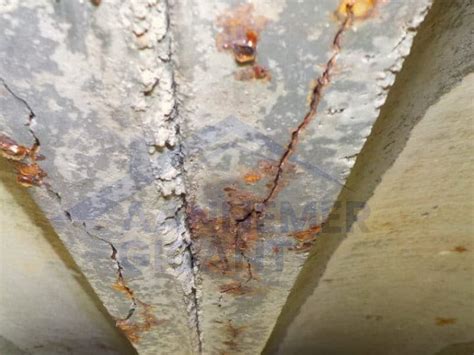 Gedetailleerde illustratie van de oorzaken en gevolgen van betonrot
