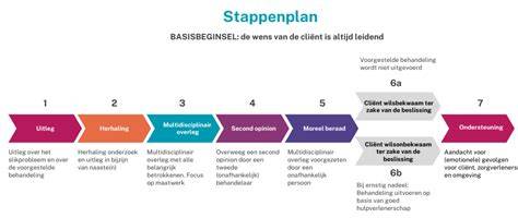Infografiek van stappenplan bij bestrating (van wensen tot onderhoud)