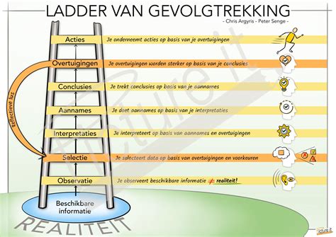 Diagram: Oorzaken van rioolverstopping en gevolgtrekking