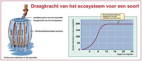 Diagram van plakspijker draagkracht per type