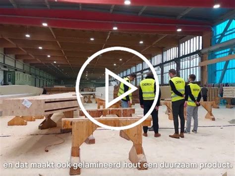 Infographic: Ronde van Bergland Parketprocessen van boom tot vloer