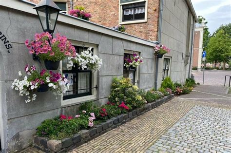 Foto van een aantrekkelijke geveltuin langs een woning.
