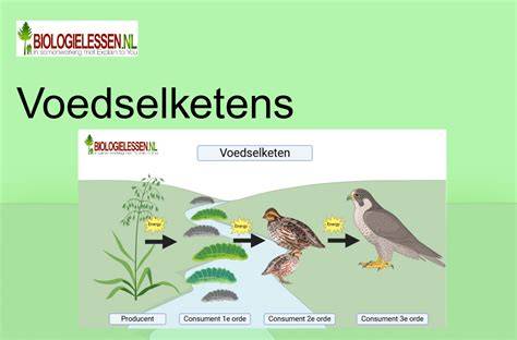 Infographic: toekomstbeeld voedselketen en consumentengedrag