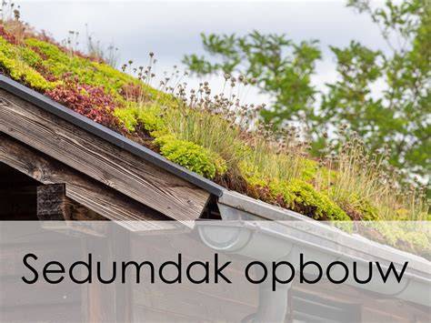 Opbouw sedumdak: lagen en materialen