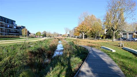 Landschap van de Langstraat met kenmerkende waterlopen en vegetatie