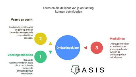 Infographic met factoren die de kosten van een verhuizing beïnvloeden.