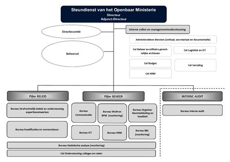 Infografiek: structuur Openbaar Ministerie en Hoge Raad