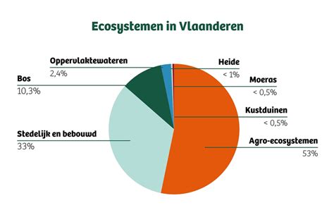 infographic met de oorzaken van badkamerlekkages en hun percentages