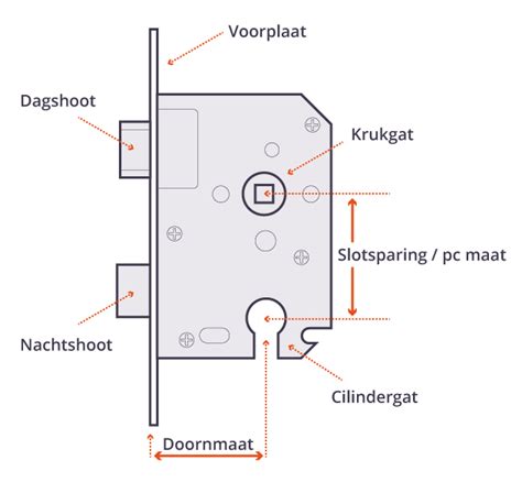 Infographic: Onderdelen en maten van een insteekslot (PC-maat, doornmaat, dagschoot en nachtschoot)