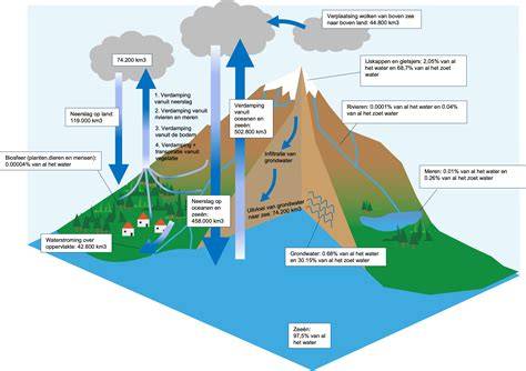 Infographic over edge painting processen en droogtijden