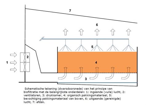 Schematische weergave reflectiepad in een kweekruimte