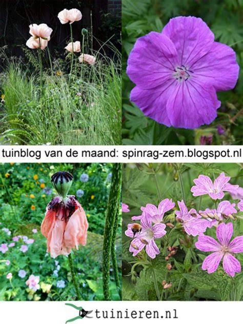Bron foto: tuindesign blogspot