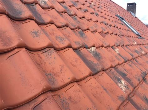 Illustratie van vorstschade aan dakpannen, met nadruk op microscheurtjes