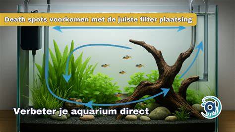 Infographic: factoren bij plaatsing aquarium (zonlicht, tocht, trillingen, temperatuur)