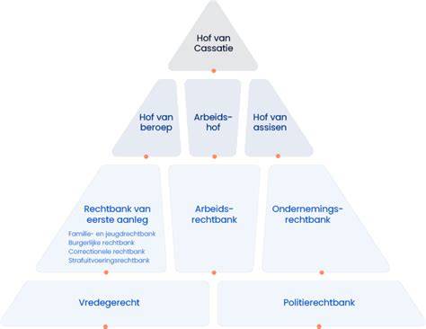 Infographic: Geschiedenis en huidige structuur van Richter Kozijnen B.V. (vooruitblik op bedrijfsontwikkelingen)