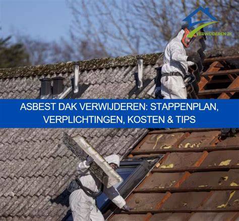 Infographic: Stappenplan asbest verwijderen