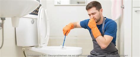 Infographic: oorzaken van wc verstopping en stappenplan
