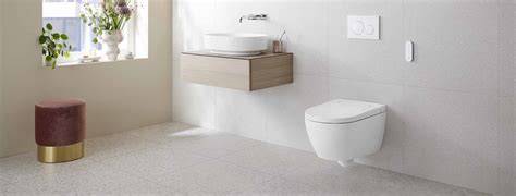 Infographic: Verschillen tussen staand, hangend en back-to-wall toilet