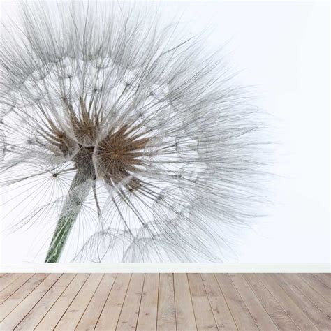 Fotobehang met een grijze paardenbloem op een donkergrijze achtergrond