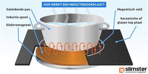 Infographic: Hoe werkt een inductie beschermer