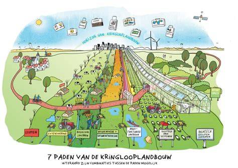Diagram: mogelijke transitiepaden naar natuurinclusieve kringlooplandbouw