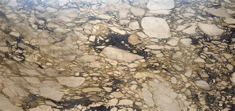 Calacatta marmer adering en tinten