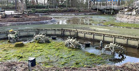 Toverland hoofdentree met vijver