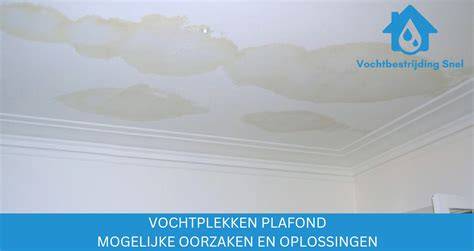 Overzicht oorzaken vochtplekken plafond
