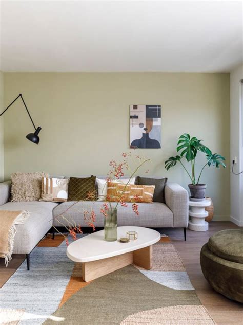 Infographic: Dalmatiërprint in interieur en mode - trends, combinaties en onderhoud