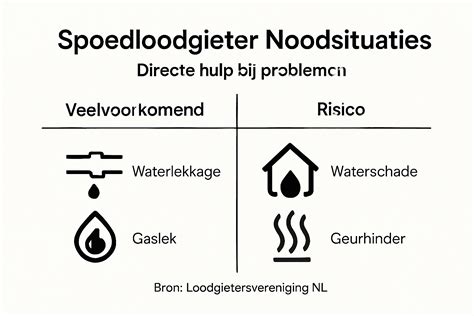 Infographic: Werkwijze bij spoedloodgieter