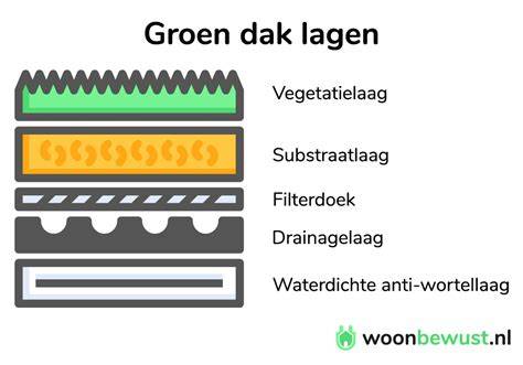 Infographic overzicht lagen sedumdak: wortelwerende folie, drainagelaag, filtervlies, substraat, sedum