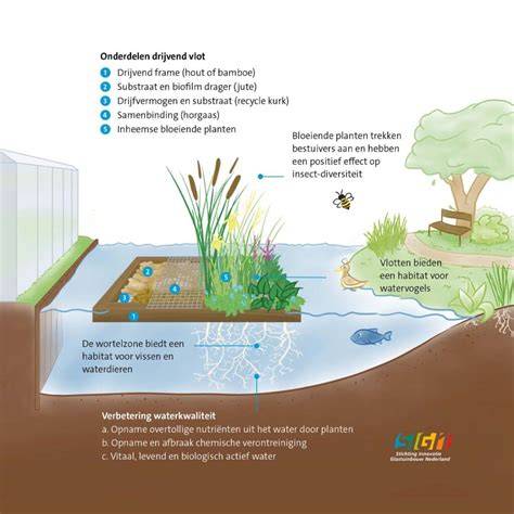 Schema: waterveiligheid in de tuin