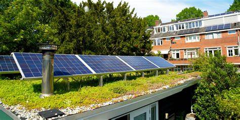 Foto van een sedumdak met zonnepanelen