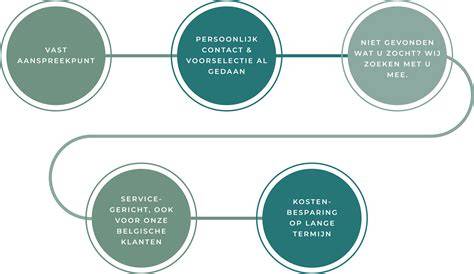 Infographic: Overzicht van diensten en jarenlange ervaring van het bedrijf