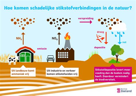 Infographic: De drie aansluitingssystemen uitgelegd - eenpijps, tweepijps en eenpuntsaansluiting