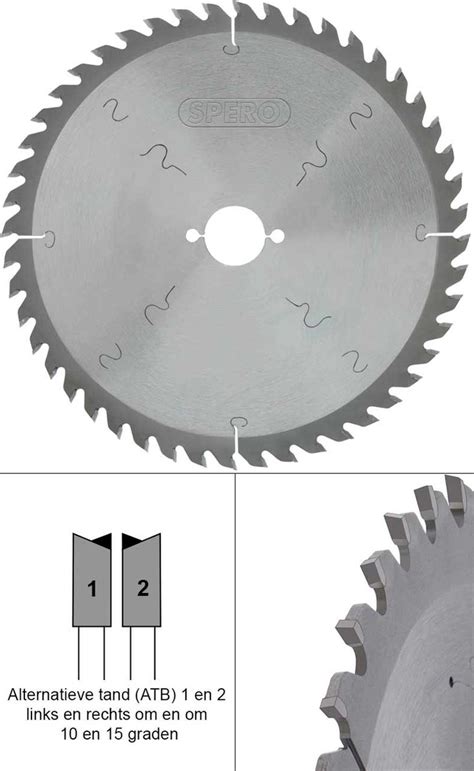 Infografiek: overzicht van zaagblad-kenmerken (asgat, tanden, diameter, trekfunctie)