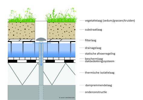 Diagram van daklagen: waterdichte laag, drainage, substraat, vegetatielaag