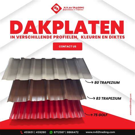 Infographic: Verschillende soorten dakplaten en hun profielen (golf, trapezium, dakpanprofiel)