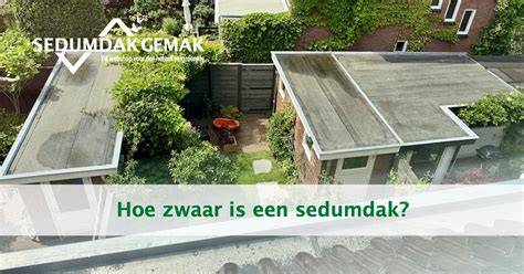 Infographic: Sedumdak-gewicht en opbouwdiagram