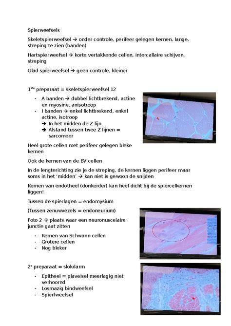 Infographic: Stucwerksoorten en hun kenmerken