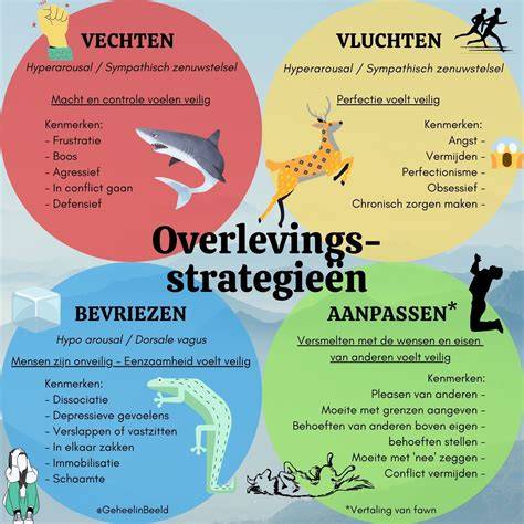 Infographic over de drie paden naar overleving van startups