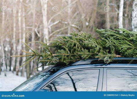 Foto: kerstboom op dak DIY-projecten en voorbeelden van daktransport