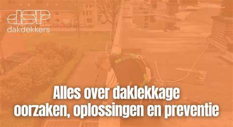 Infographic: Oorzaken daklekkage en oplossingsroutes