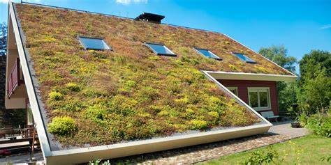 Voorbeeld van een groen dak met sedum