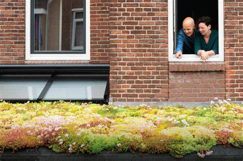 Zeist gaat het Dak Op - voorbeeld
