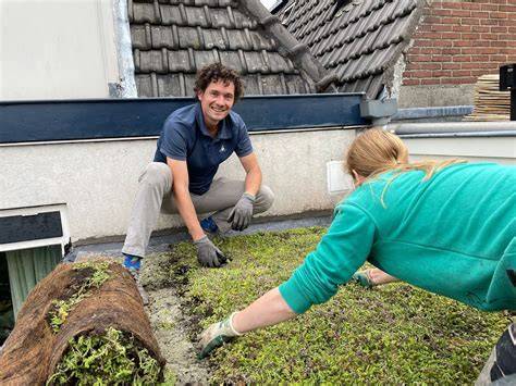 Voorbeeld wijkactie groendaken