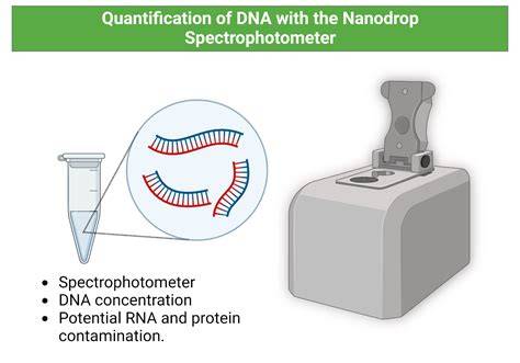 Diagramma: Kwaliteitscontrole van DNA met Nanodrop, Qubit en gel